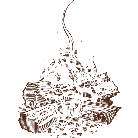 Campfire line illustration