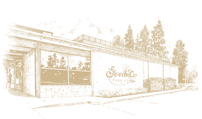 Vintage Armadillo Palace branding graphic in tan tones
